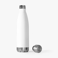 20oz Insulated Bottle